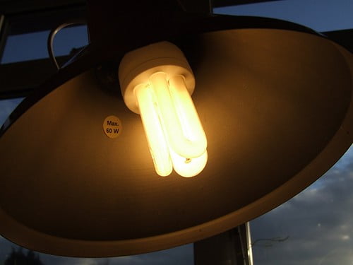 dark sky light bulb